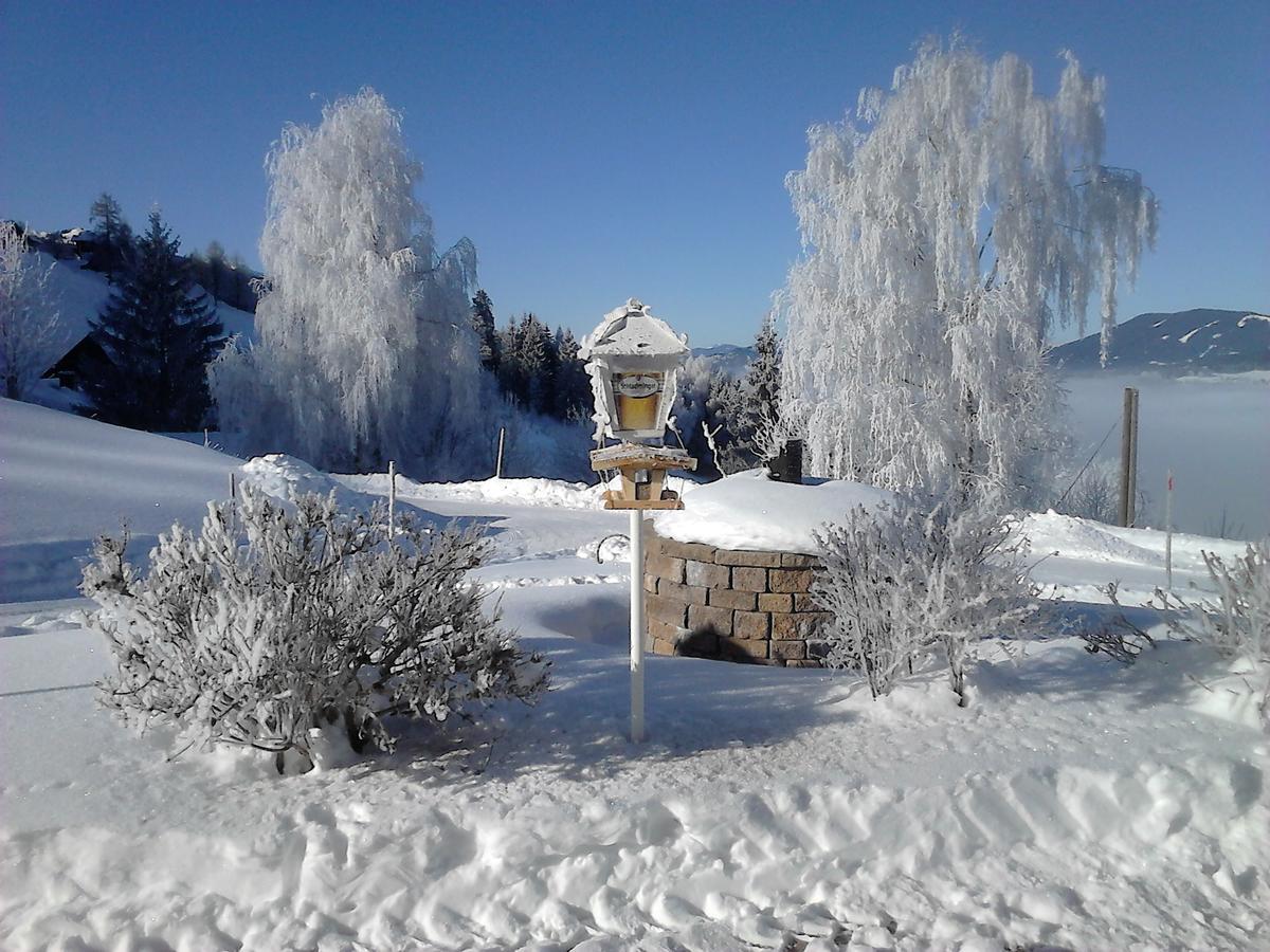Asingerhof Hotel Schladming Esterno foto