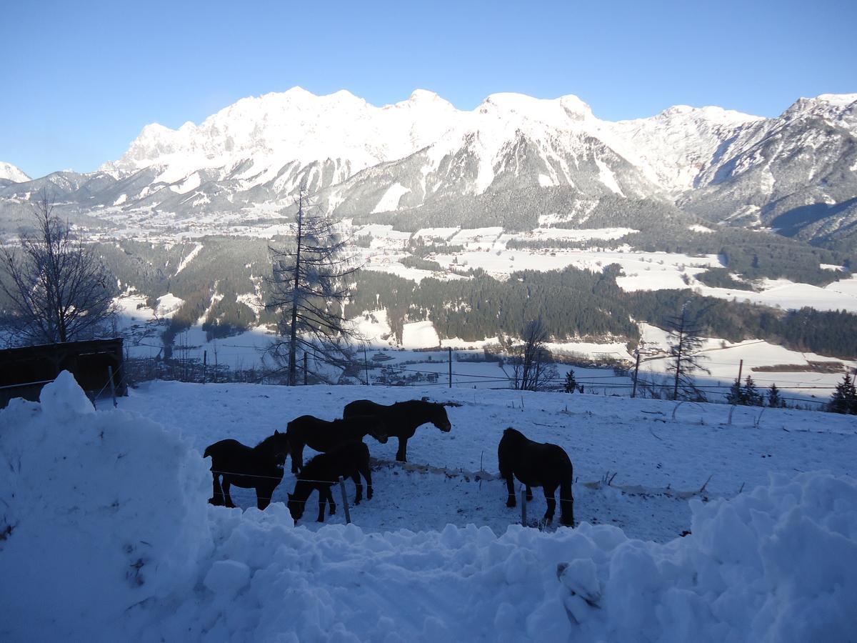 Asingerhof Hotel Schladming Esterno foto